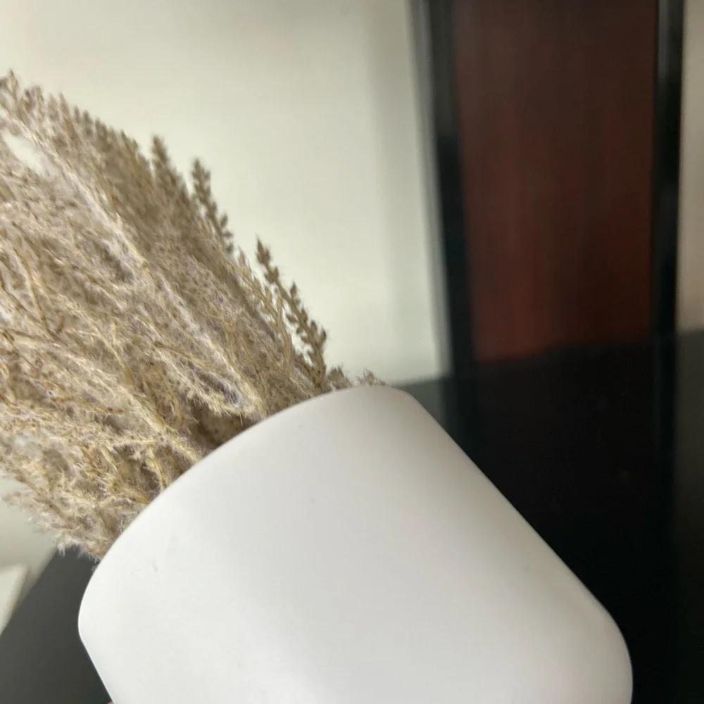 Natural Dried Grass in White Pot new